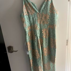 Teal and creamy pink Dress the Population dress